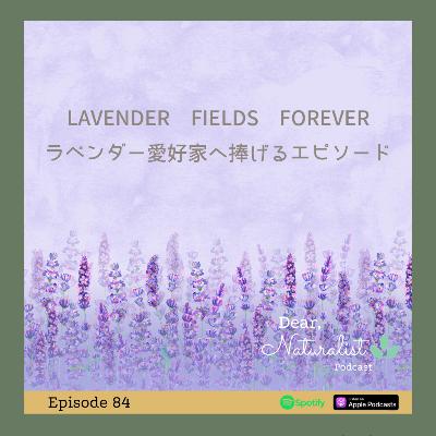 #84. LAVENDER FIELDS FOREVER 〜ラベンダー愛好家に捧げるエピソード