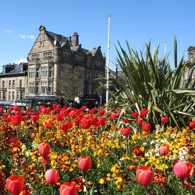 Congratulations Harrogate in Bloom! Congratulations Harrogate in Bloom!