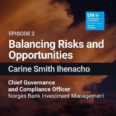 Balancing Risks and Opportunities with Carine Smith Ihenacho