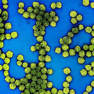 Extreme Früherkennung: Vielversprechender Bluttest auf HPV Extreme Früherkennung: Vielversprechender Bluttest auf HPV