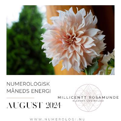 2024 | Numerologisk energi i august måned i år 2024 2024 | Numerologisk energi i august måned i år 2024