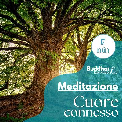 Meditazione del cuore connesso