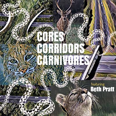 Part1 | Coexisting with Wildlife | Beth Pratt, National Wildlife Federation’s Executive Director for California | Part 1