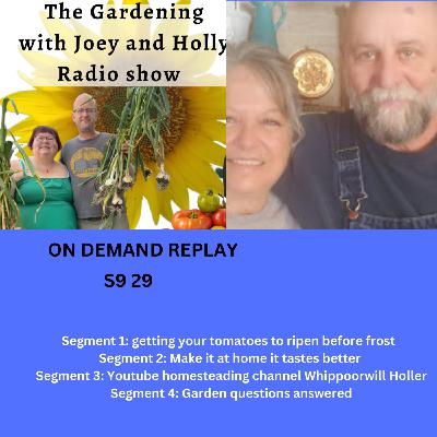 Episode 1468: S9E29 get tomatoes to ripen before frost, Make it at home, guest  Whippoorwill Holler    - The Gardening with Joey and Holly Radio Show