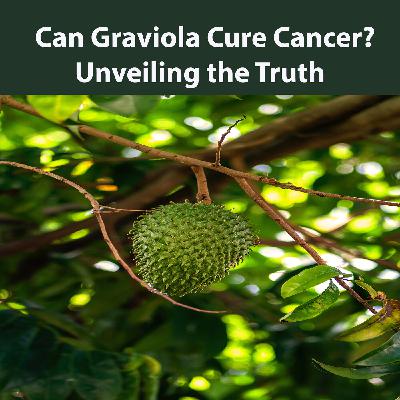 Can Graviola Cure Cancer? - Unveiling the True
