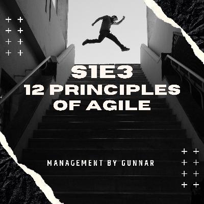 S1E3 Agile principles