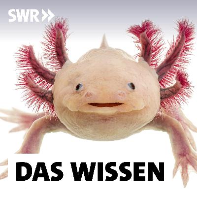 Körperteile nachwachsen lassen – Was die Medizin von Tieren lernt Körperteile nachwachsen lassen – Was die Medizin von Tieren lernt