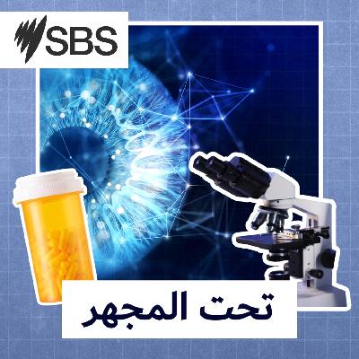 تحت المجهر: من دهون البطن القاتلة إلى الصحة المثالية… 3 خطوات عملية