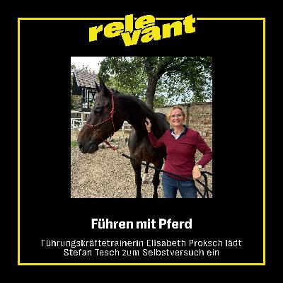Elisabeth Proksch (Führungskräftetrainerin): Stefan Tesch im Selbstversuch mit Pferd