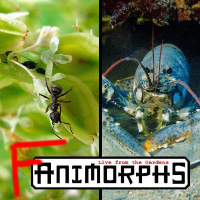 Live from the Gardens: The Predator