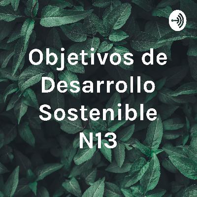 Objetivos de Desarrollo Sostenible N°13