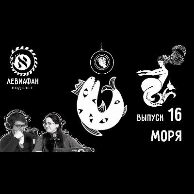 #16 Моря и океаны #16 Моря и океаны