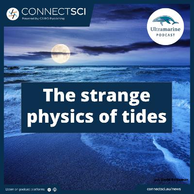 The Strange Physics of Tides