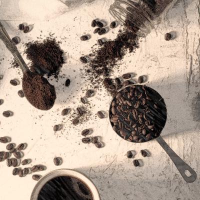 Episode 1: Ep. 01 - Where Do The Coffee Beans Come From