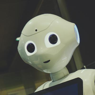 AI CODING编程提效:能产出内容的才是好AI|硅谷AI转型录No.3 AI CODING编程提效:能产出内容的才是好AI|硅谷AI转型录No.3