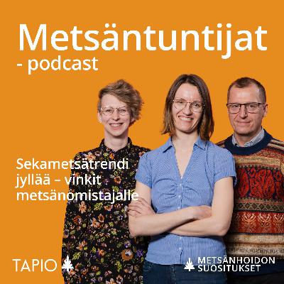 Sekametsätrendi jyllää – vinkit metsänomistajalle