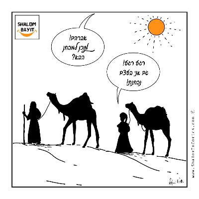 האם אתגר אישי משפיע על שלום הבית שעורי שלום בית על פרשת השבוע