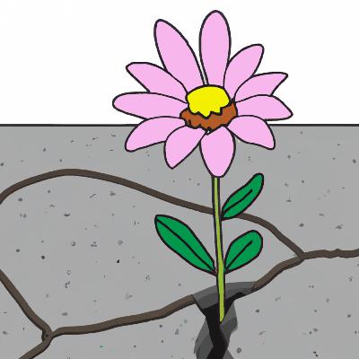 It's the small things (RE-UPLOAD) It's the small things (RE-UPLOAD)