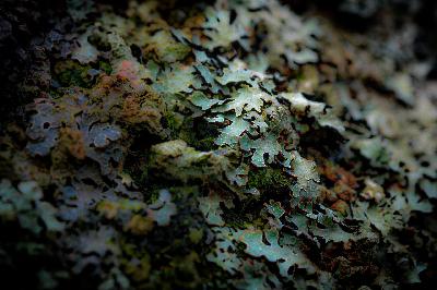 Mindfulness in Photo Editing and Post-Processing