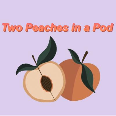 Episode 13: Timothy Ferguson and the Crimes of Shanda Vander Ark Part 1