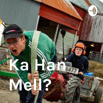 Ka Han Mell? Episode 17 med "Skjeggmannen" på besøk