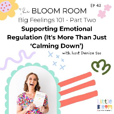 EP 42 | Supporting Emotional Regulation (It's More Than Just ‘Calming Down’)