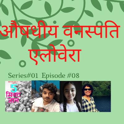 औषधीय वनस्पति : एलोवेरा  (Medicinal Plants : (ALOE VERA)