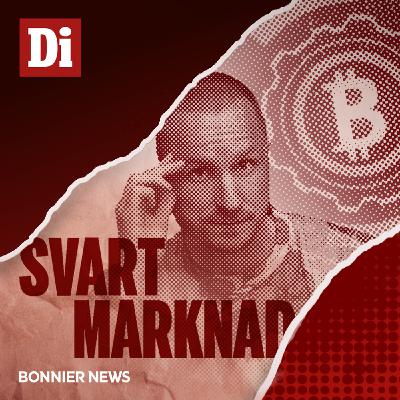 Företagaren efter polisens utredning: ”Jag blir mörkrädd” (2/2)