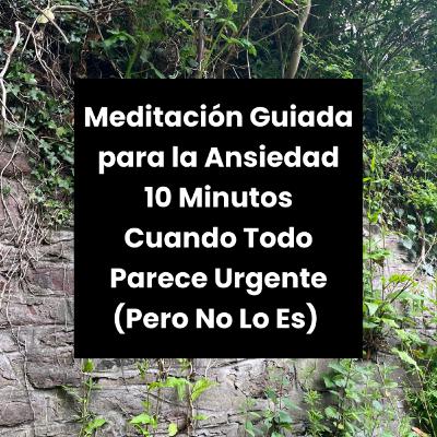Meditación Guiada para la Ansiedad Cuando Todo Parece Urgente (Pero No Lo Es) | 10 Minutos Meditación Guiada para la Ansiedad Cuando Todo Parece Urgente (Pero No Lo Es) | 10 Minutos