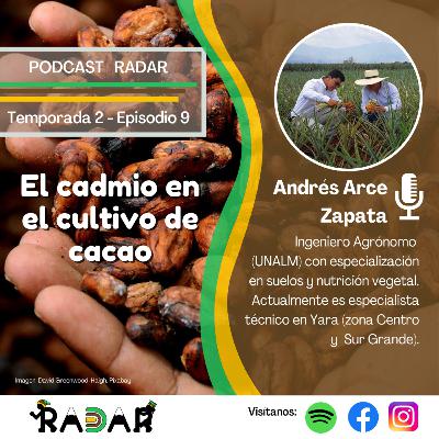 Episodio 9: El cadmio en el cultivo de cacao: Causas y estrategias de manejo