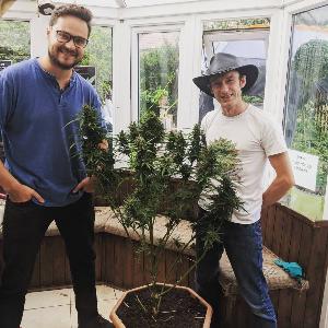 Greenman Compassion #009