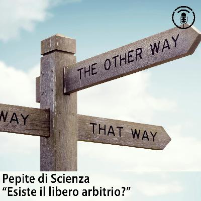 Esiste il libero arbitrio?