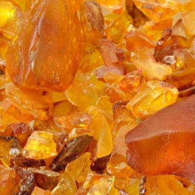 Padişahların Sihirli Bitkisi