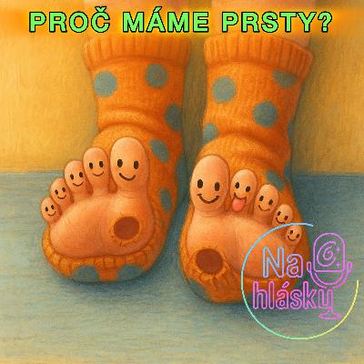PROČ MÁME PRSTY?