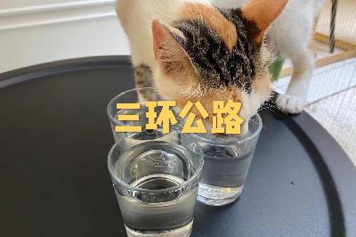 我们俩在实习路上的摸爬滚打：就业导向的大学教育环境
