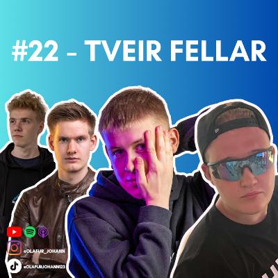 #22 - Tveir Fellar