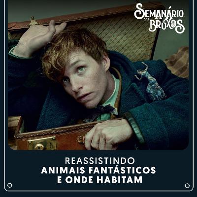 #63: Reassistindo Animais Fantásticos e Onde Habitam #63: Reassistindo Animais Fantásticos e Onde Habitam