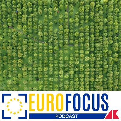 Accordo sul clima in vista della Cop30