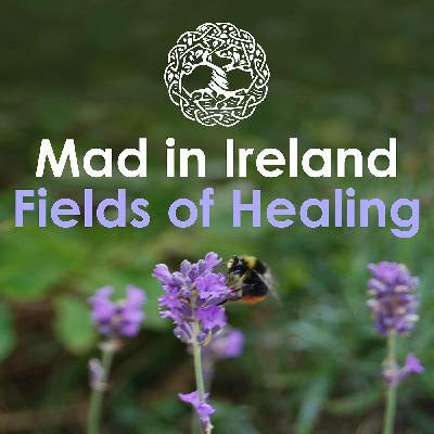 So what is Eco-Arts Practice and how does it relate to mental health?