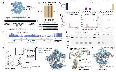 Weekly Recap (Dec 2024, part 3)