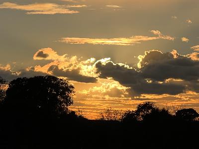 The Dragon of St Lawrence