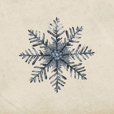 24. Den förlåtande snön