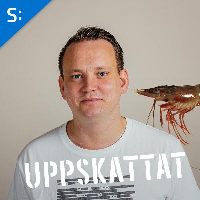 Årets värsta slöseri – kommunala räkor?