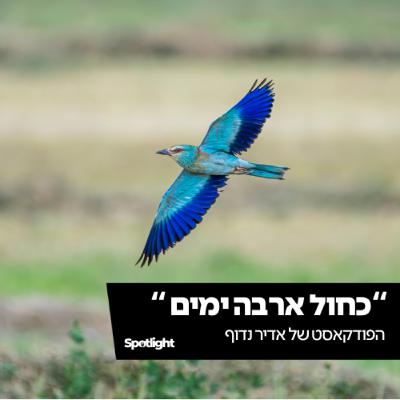 "כחול ארבה ימים" - הפודקאסט של אדיר נדוף