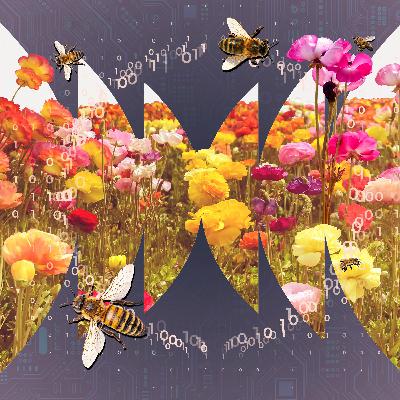Time is Honey