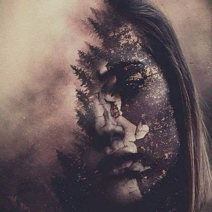 جنگلِ‌بی‌فصل