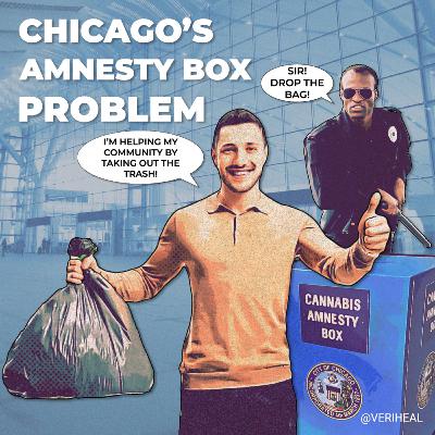 Chicago's Amnesty Box Problem - Weekly Hit