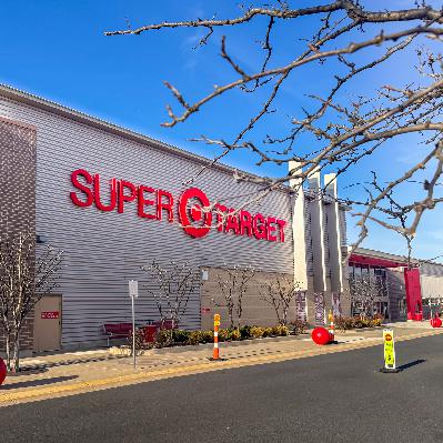 Did the Target DEI boycott work or did they just weed out the masses?