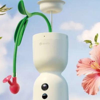 Netvue Birdfy smart bird watching innovations continue Netvue Birdfy smart bird watching innovations continue