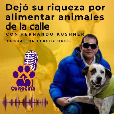 Fernando Kushner: El hombre de negocios que dejó todo por cuidar a los animales de la calle